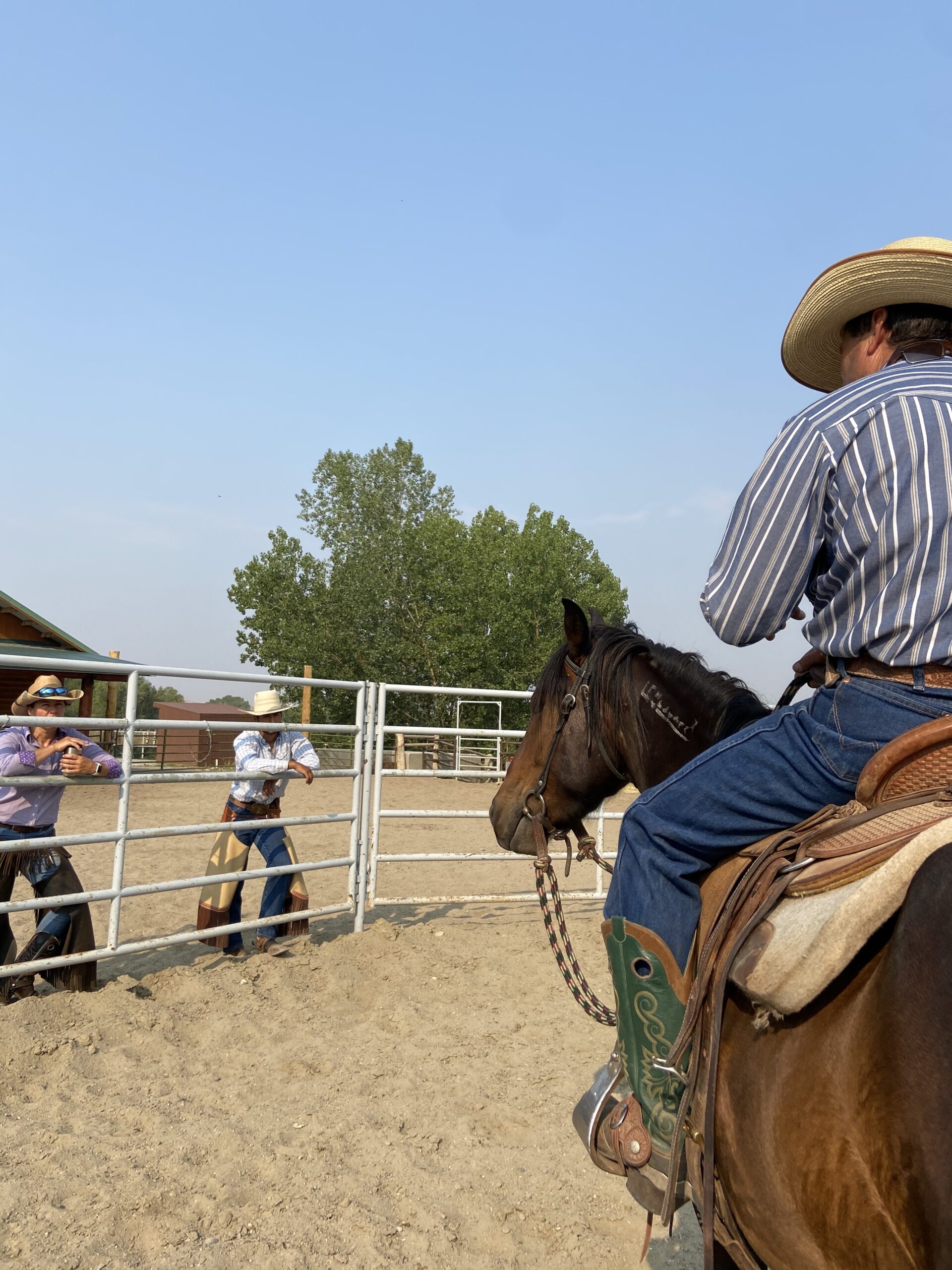 Horse training clinics by Ramon Castro Horsemanship